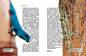 Preview: Tagaktive Zwerggeckos der Gattung Lygodactylus
